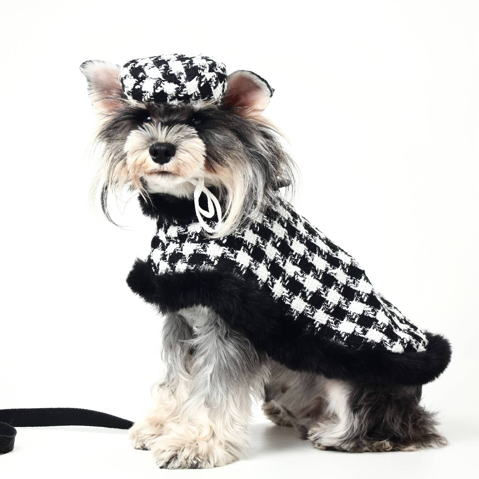 Coat et chapeau en peluche pour chiens petits et moyens