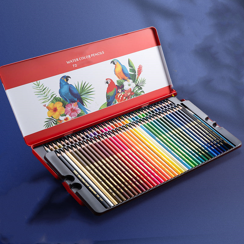 Ensemble de dessin de crayon couleur à base d'huile soluble dans l'eau