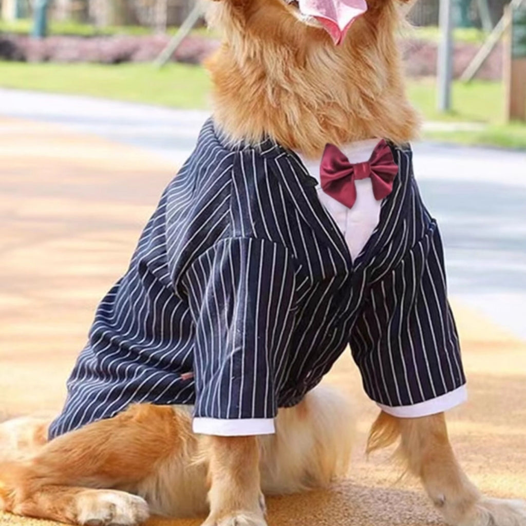 Vêtements polyvalents pour grands chiens