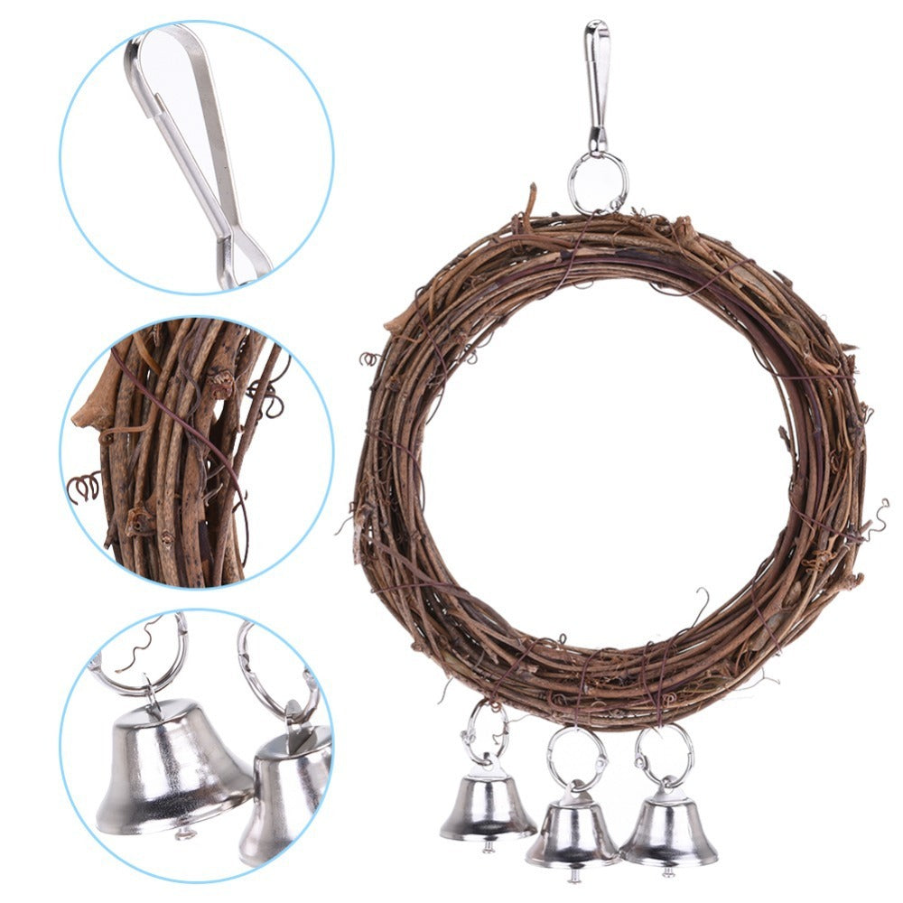 Balançoire pour perroquet