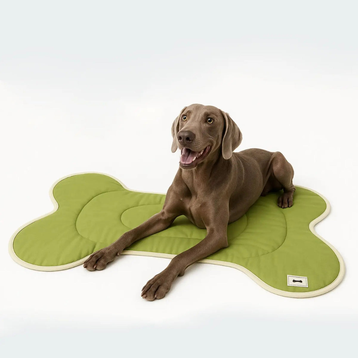 Tapis de couchage portatif pour animaux de compagnie multi-scènes Quatre saisons Universal Dog Climbing Mat Lavable Thi