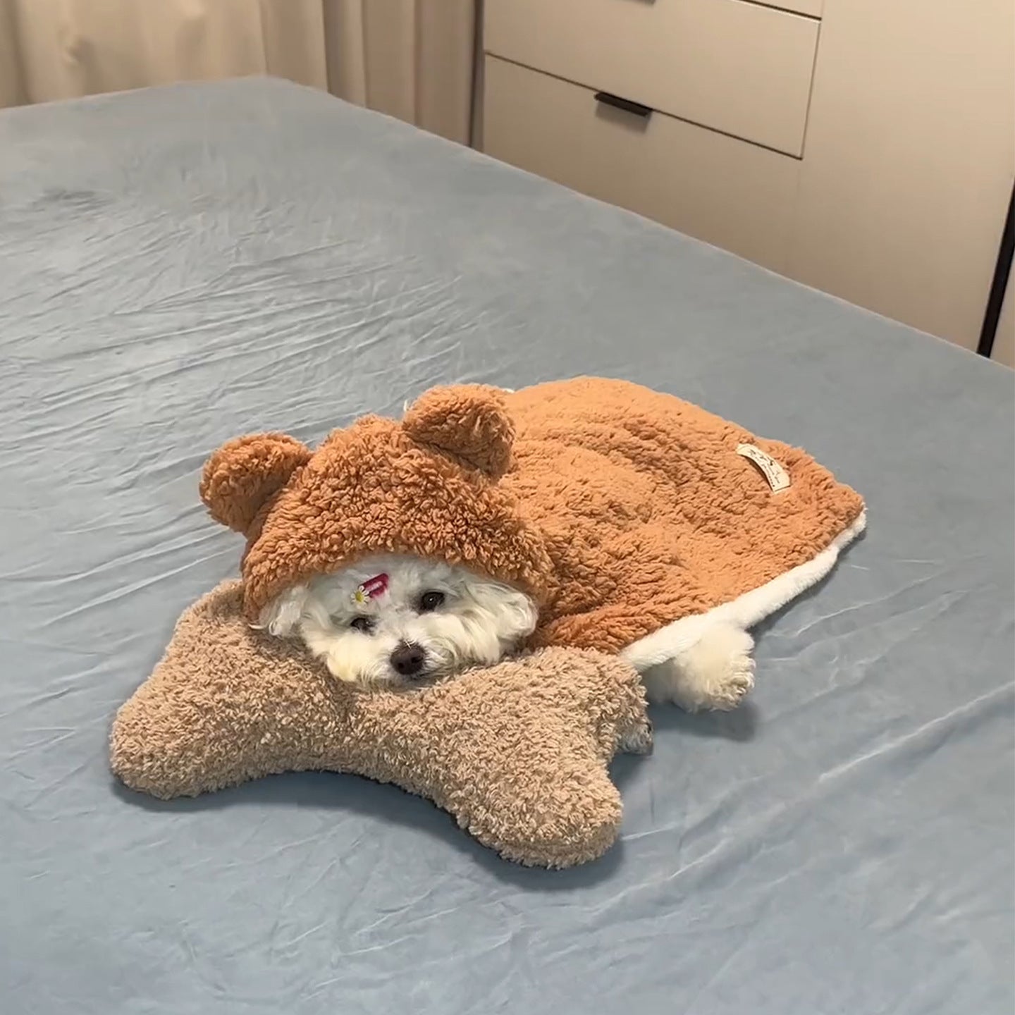 Couverture pour animaux de compagnie, vêtements pour chiens, tenue d'hiver pour chiens de petite et moyenne taille