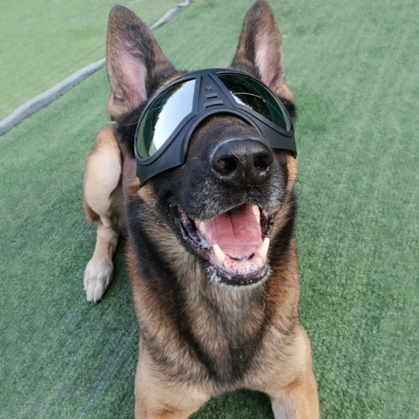 Lunettes de soleil imperméables à la neige pour animaux de compagnie Cadre souple Lunettes de soleil confortables pour allemand