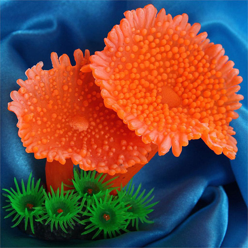 Simulation de plantes coralliennes
