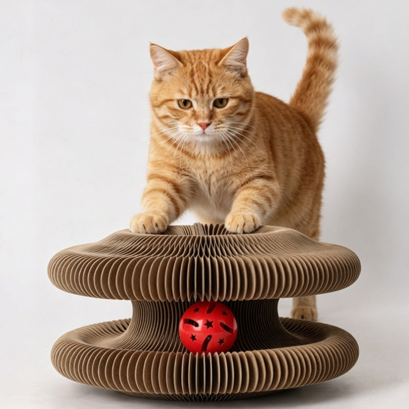 Chat poste de scratching avec pièces magnétiques Versatile carton ondulé et accordéon D