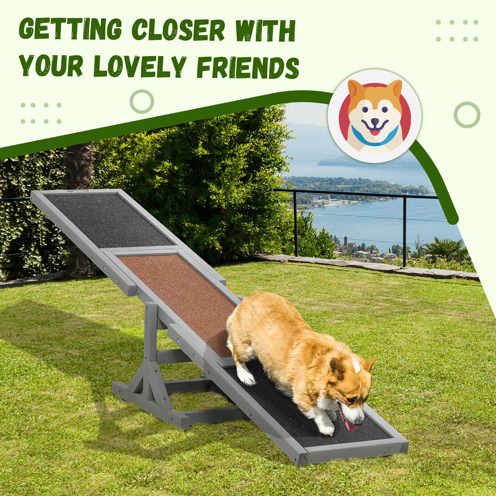 Wooden Dog Agility Seesaw pour l'entraînement et l'exercice