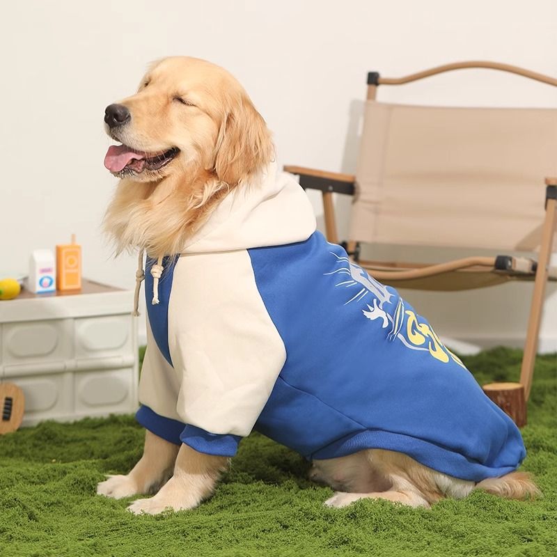 Chandail à la frontière des grands chiens