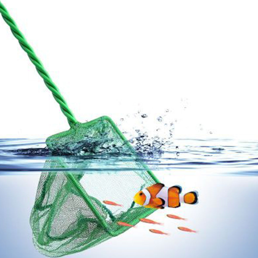 Accessoires Fish Tank Fish Fish Fish Fish Net Round Square Telescopic