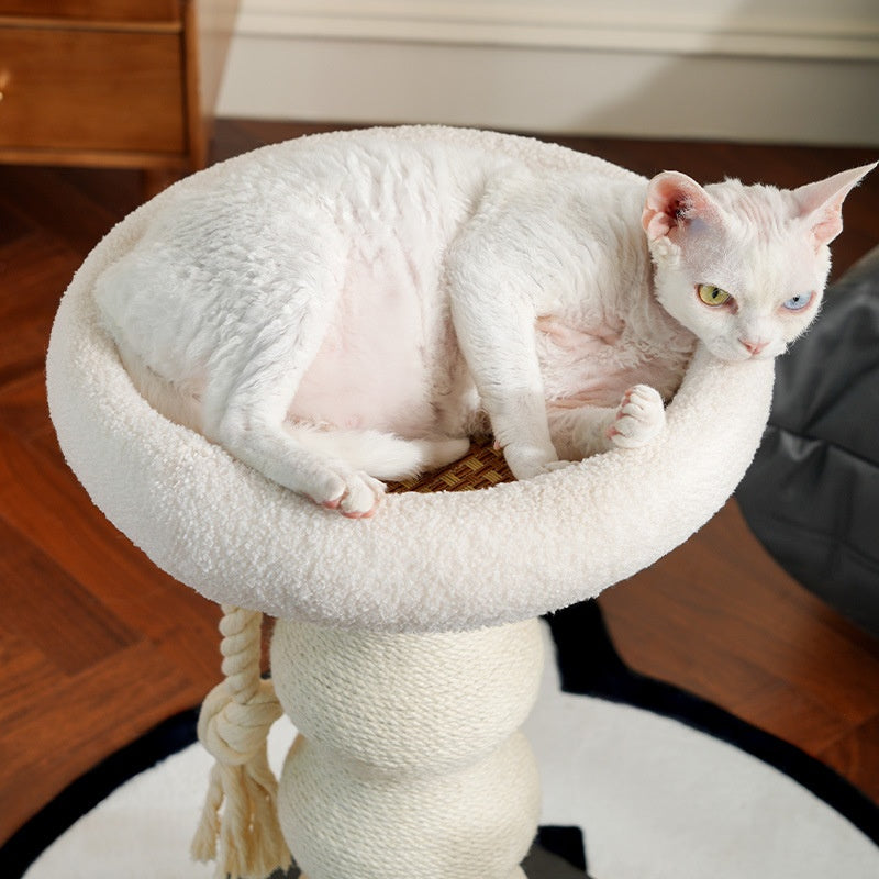 Petit arbre économisant de l'espace Craquage sisal post chat cadre d'escalade avec nid cozy