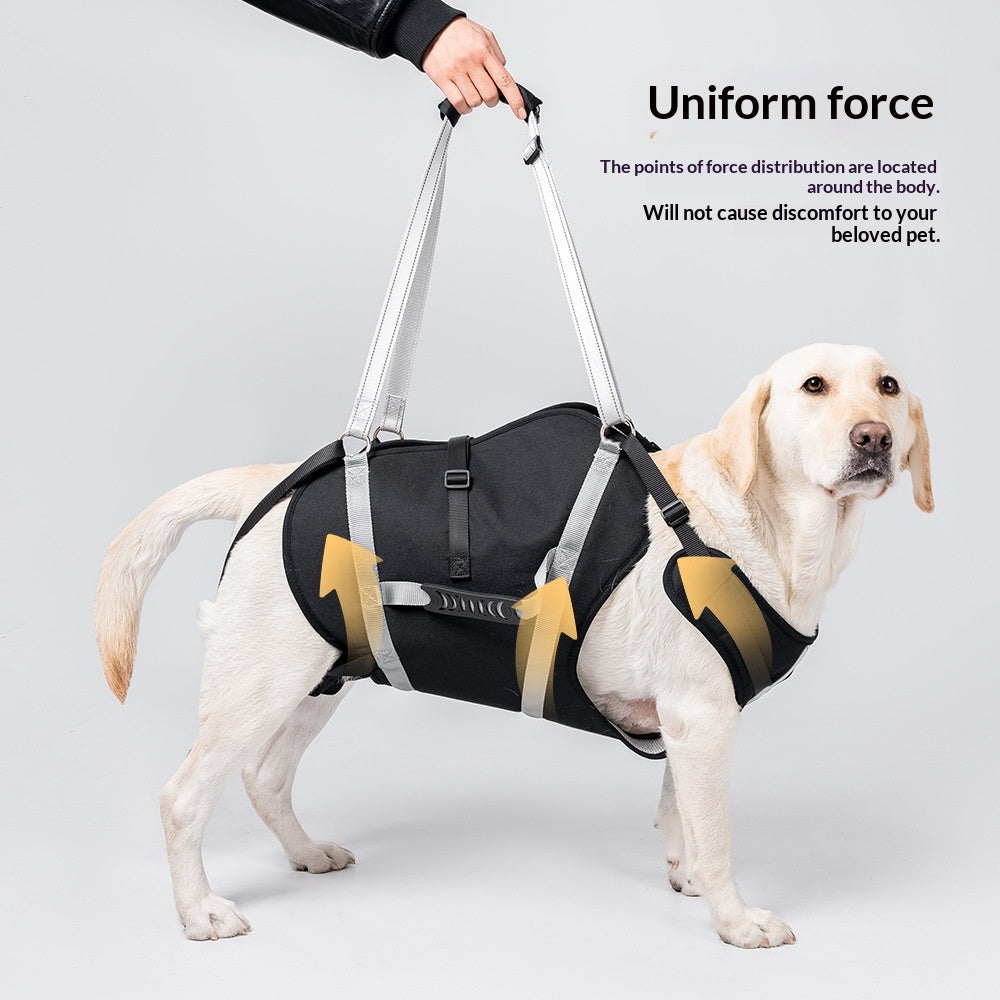 Harnais imperméable moyen à grand chien avec pinces réglables
