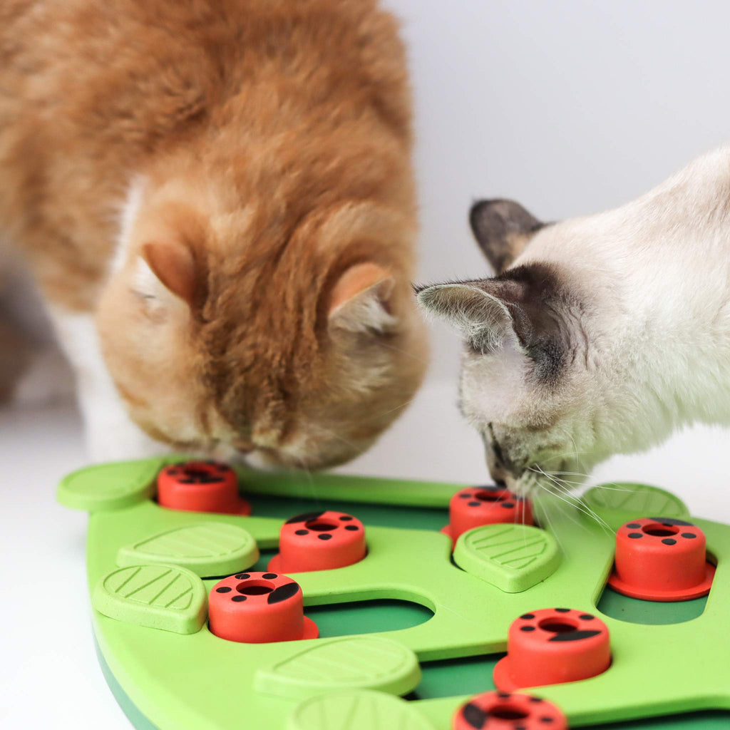 Nina Ottosson Buggin Out Puzzle & Play Cat Puzzle Feeder - Jeu interactif de traite pour Indo