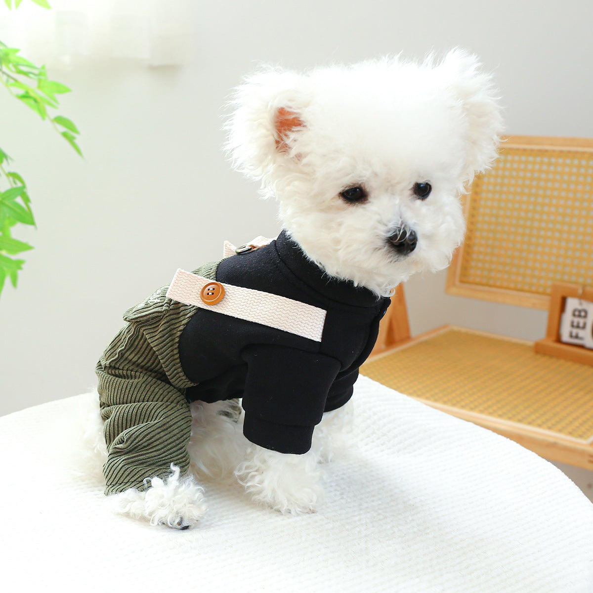Animaux de compagnie Ring Cat Vêtements Corduroy