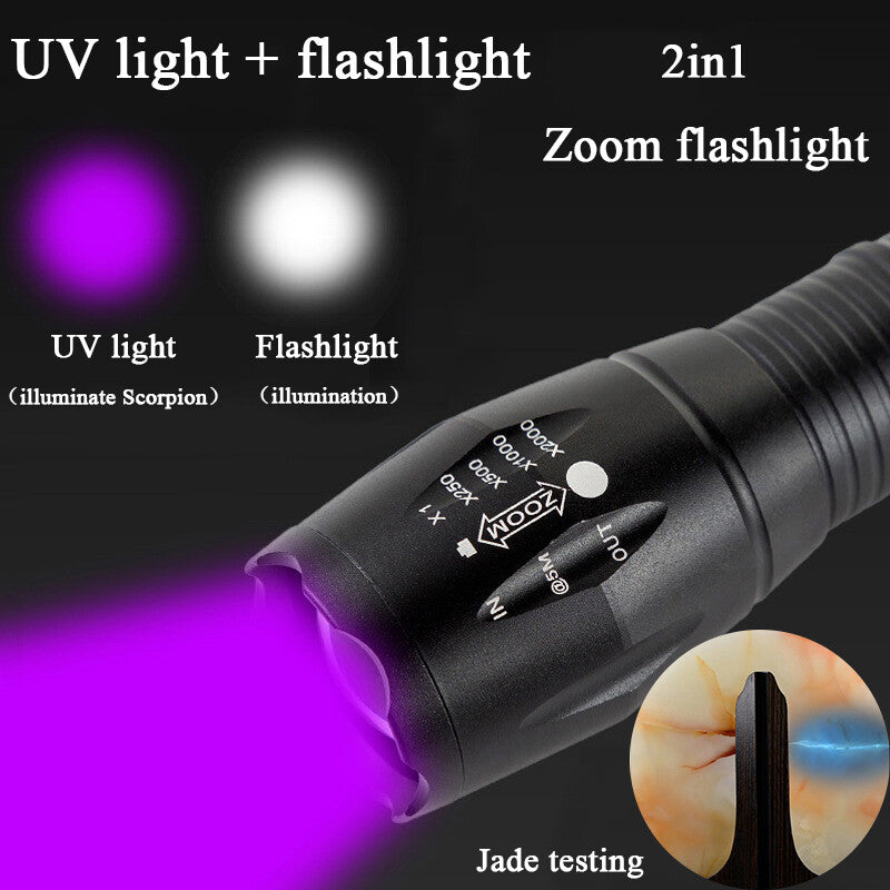 2x Lampe de poche UV LED Ultra Violet Blacklight Chasse Light Torch