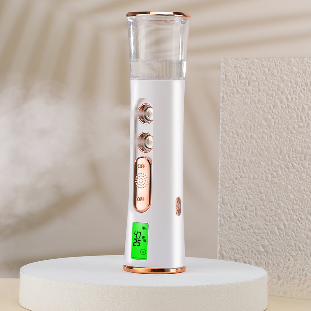 Vaporisateur à froid Hydratant visage Négatif Ion Humidificateur