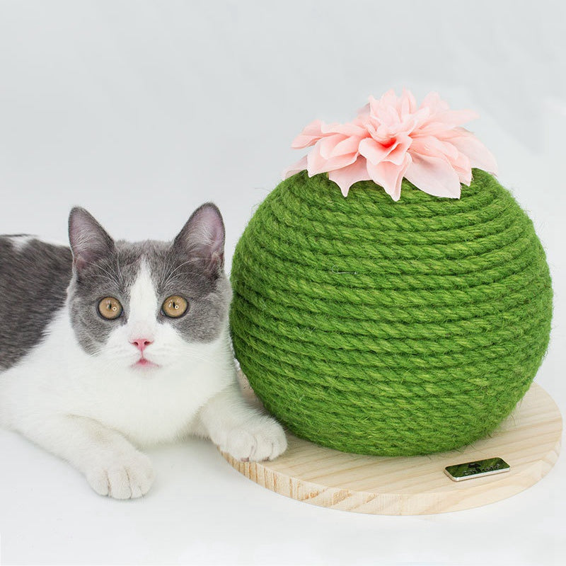 Cadre d'escalade Cactus Cat