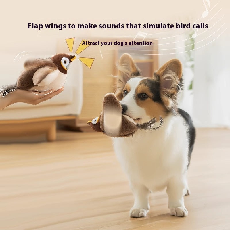 Oiseau interactif