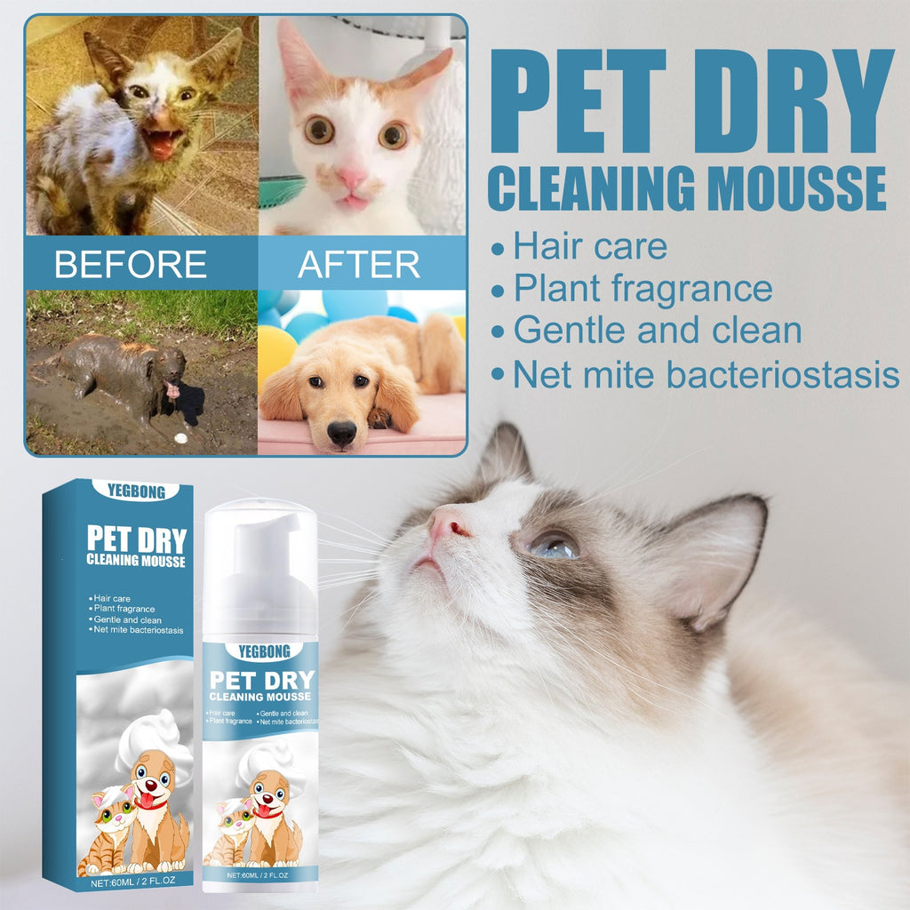 Mousse de nettoyage à sec pour chatons et chiens