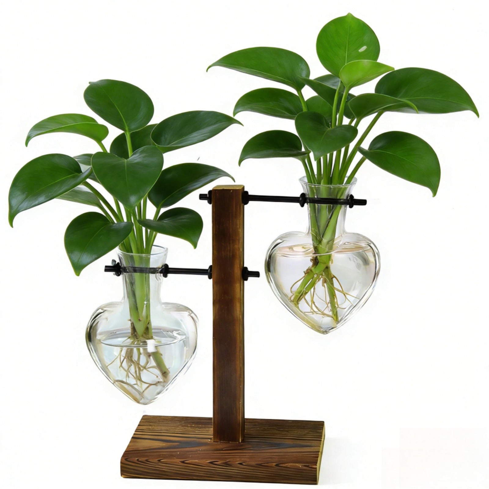 Vase en verre décoratif avec 2 vases en forme de coeur et un support en bois