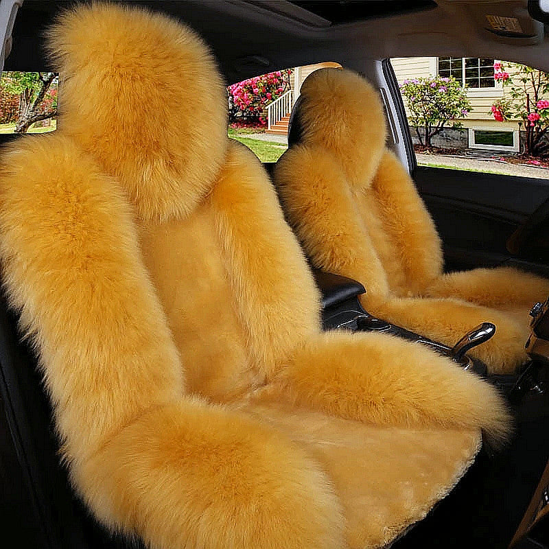 Coussin de voiture hiver