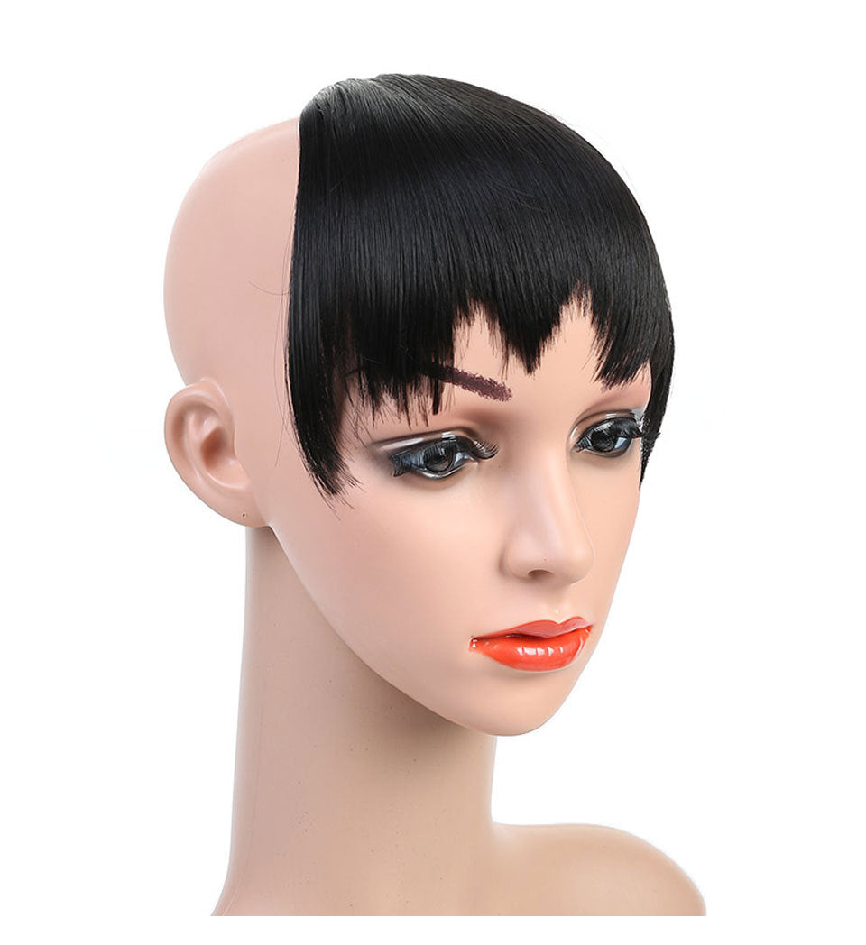 Personnalité chien non courant gnawing bangs