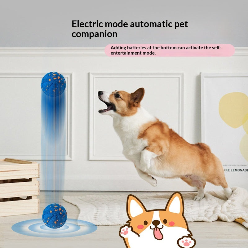 Jouet de chien de balle à roulettes