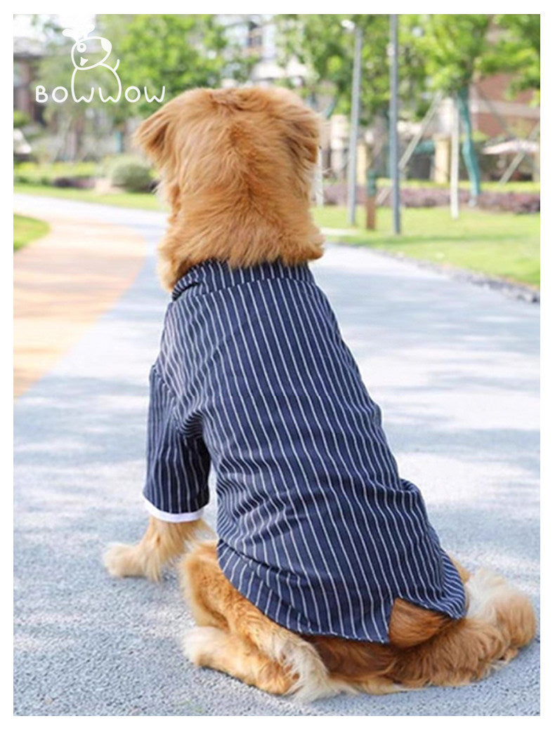 Vêtements polyvalents pour grands chiens