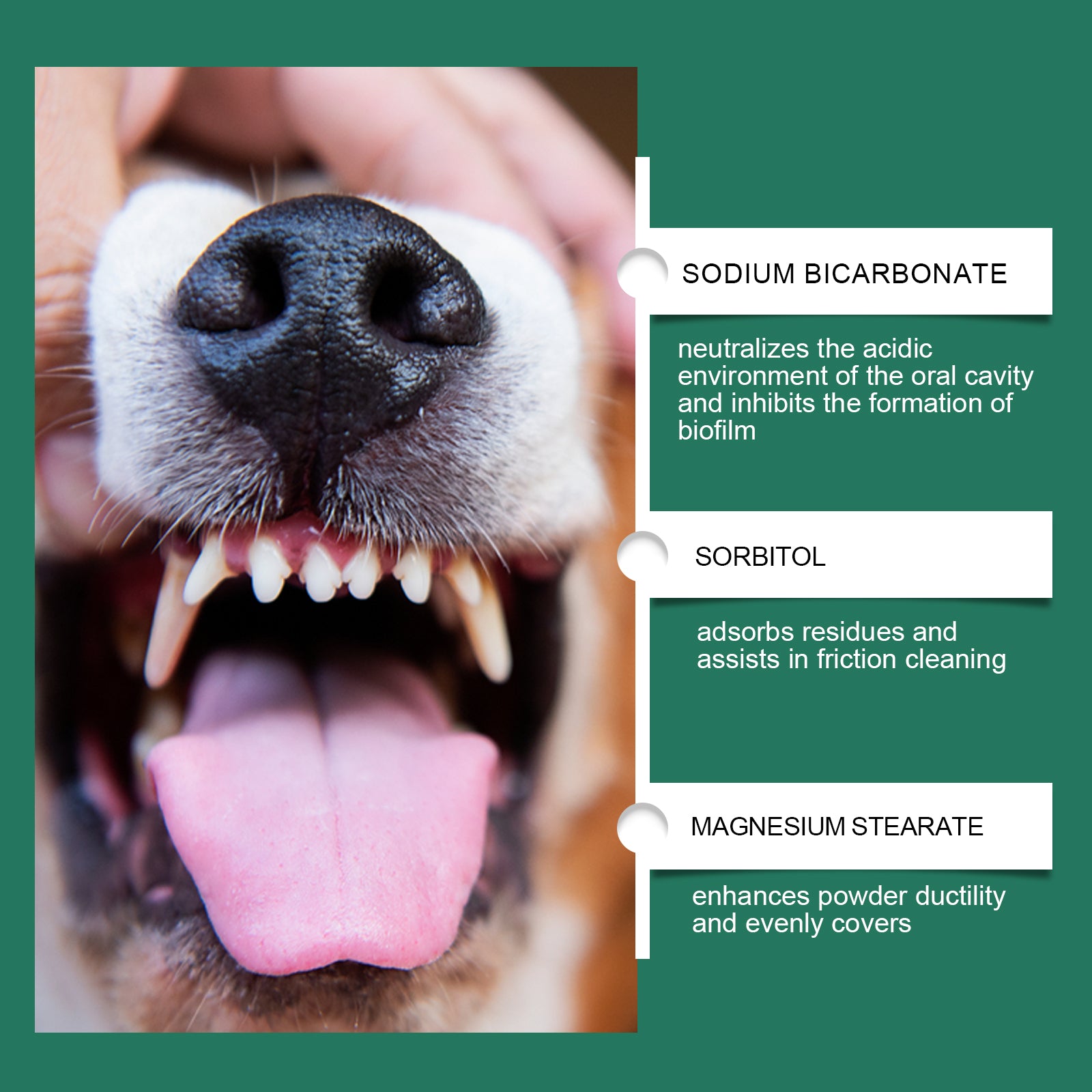 Poudre de nettoyage de dents de chien