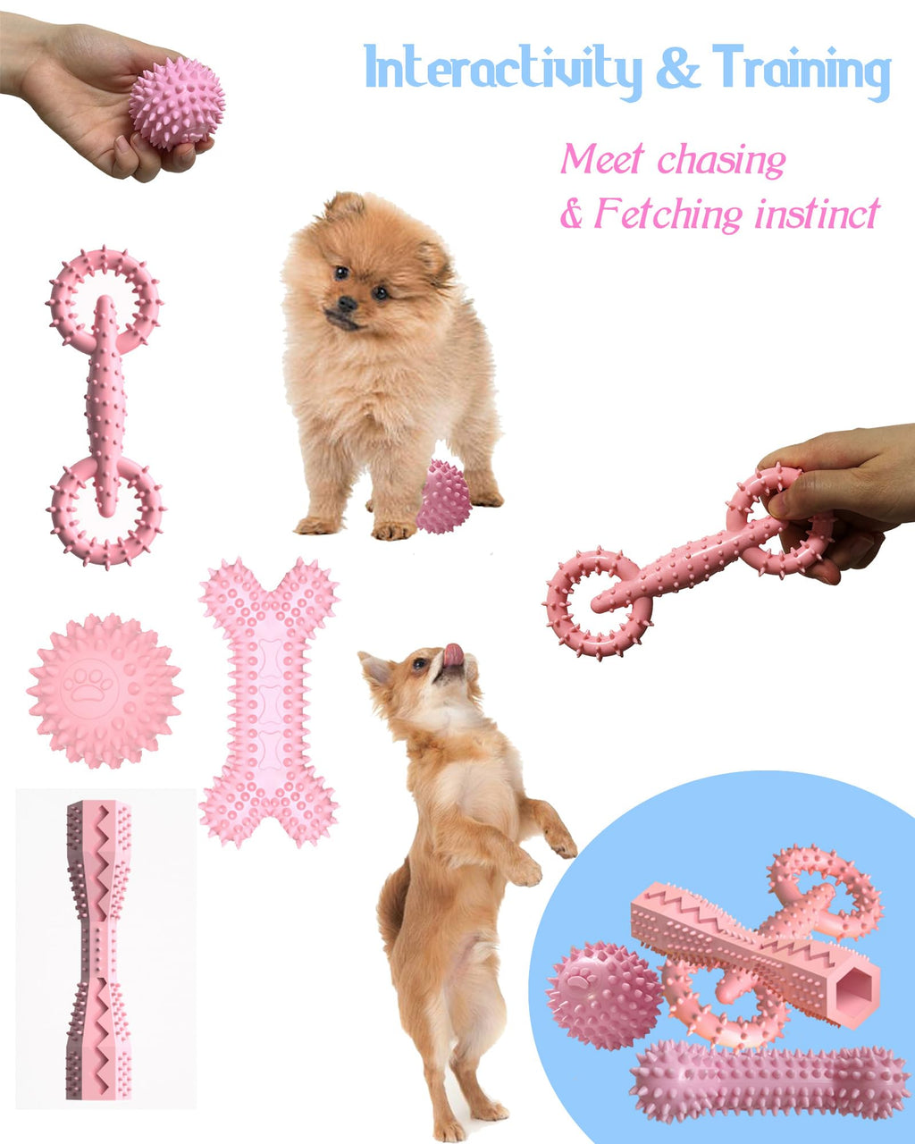 Jouets à croustilles pour petits chiens moyens Jeu de jouets de chien fille Mignon 2-8 mois Cle