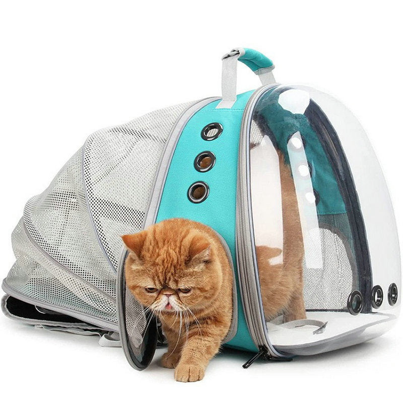 Sac à dos en mesh transparent extensible arrière