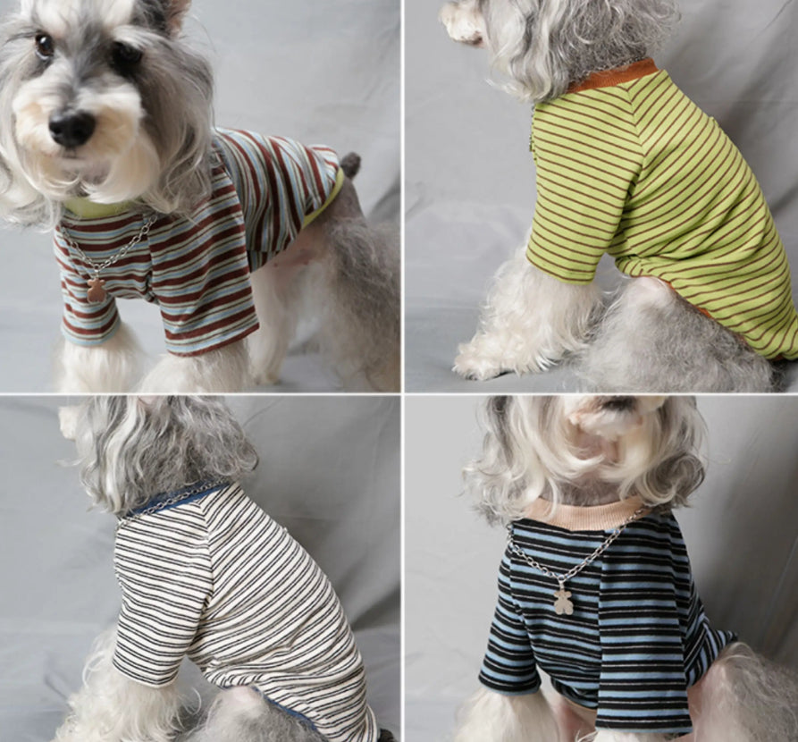 Vêtements de chien d'automne et d'hiver Teddy Coats Bichon Pajamas