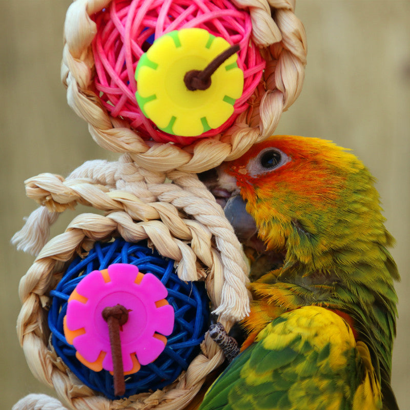 Parrot fournitures Jouet d'oiseau d'animal Jouet de bitte Ran Vine Bal Twist String