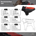 Vêtements chauds pour chiens polaires