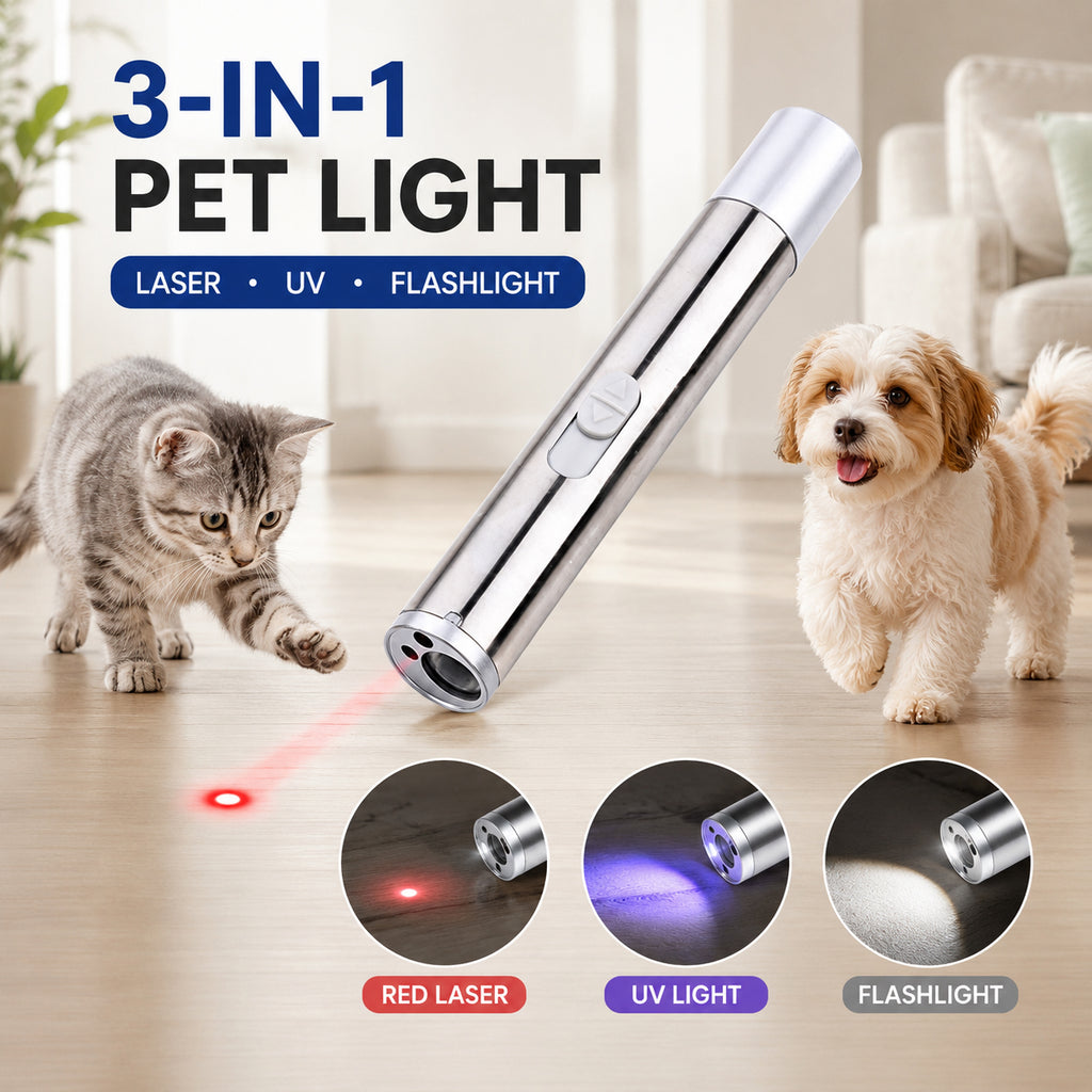 Pointeur laser 3-en-1 pour chats et chiens