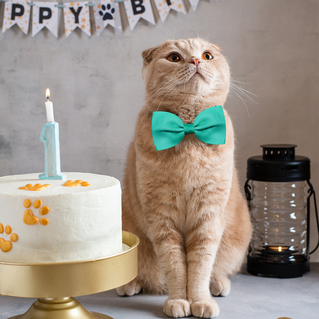 Tie Bow Tie réglable Bow pour chats et chiens en stock