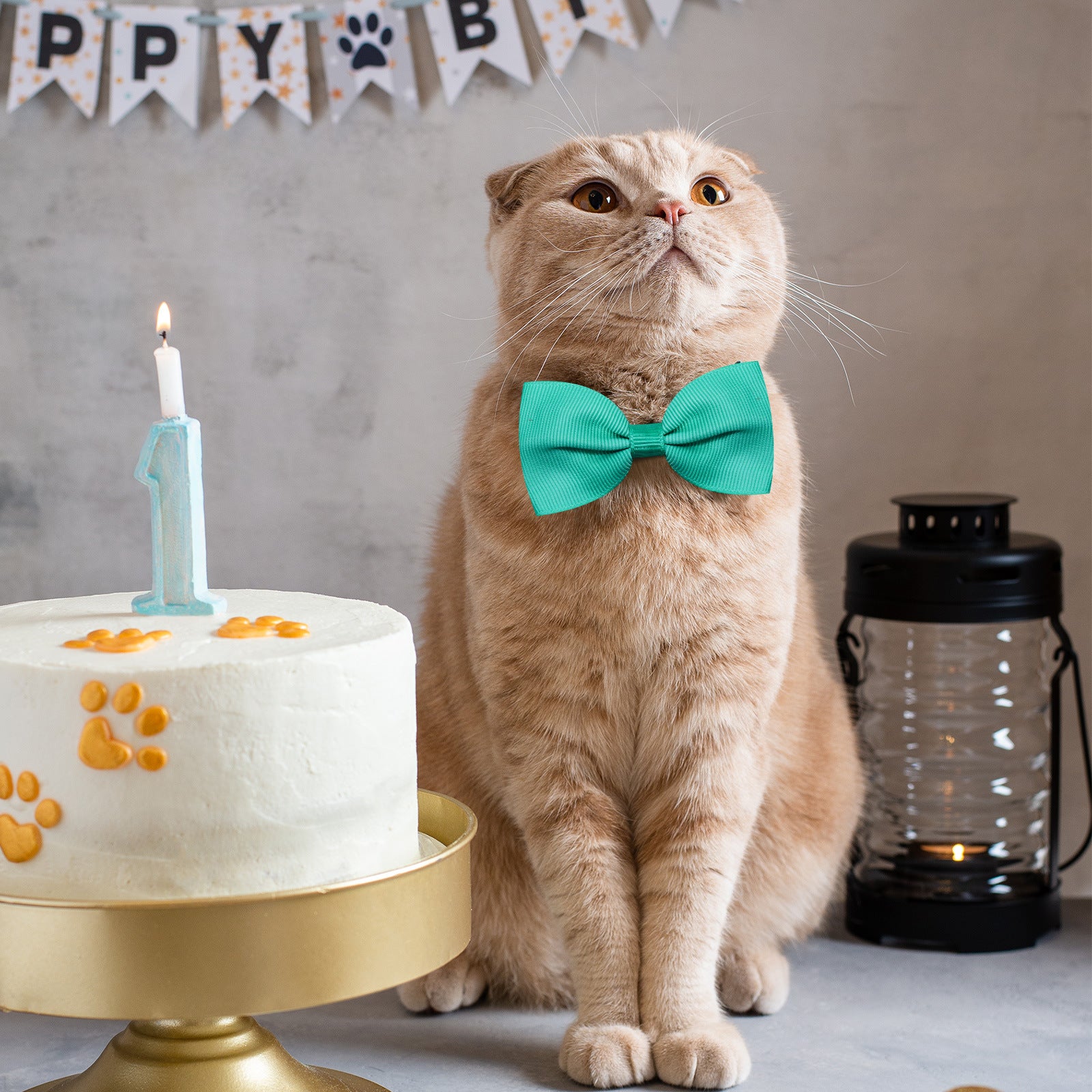 Tie Bow Tie réglable Bow pour chats et chiens en stock