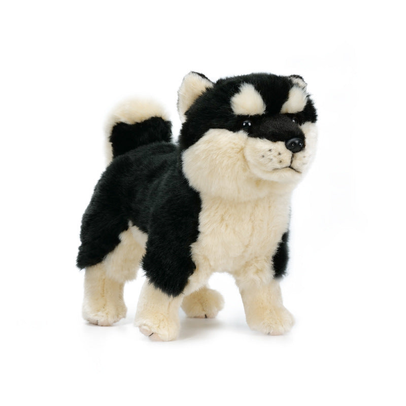 Cadeau d'anniversaire pour enfants Un chien Akita mignon