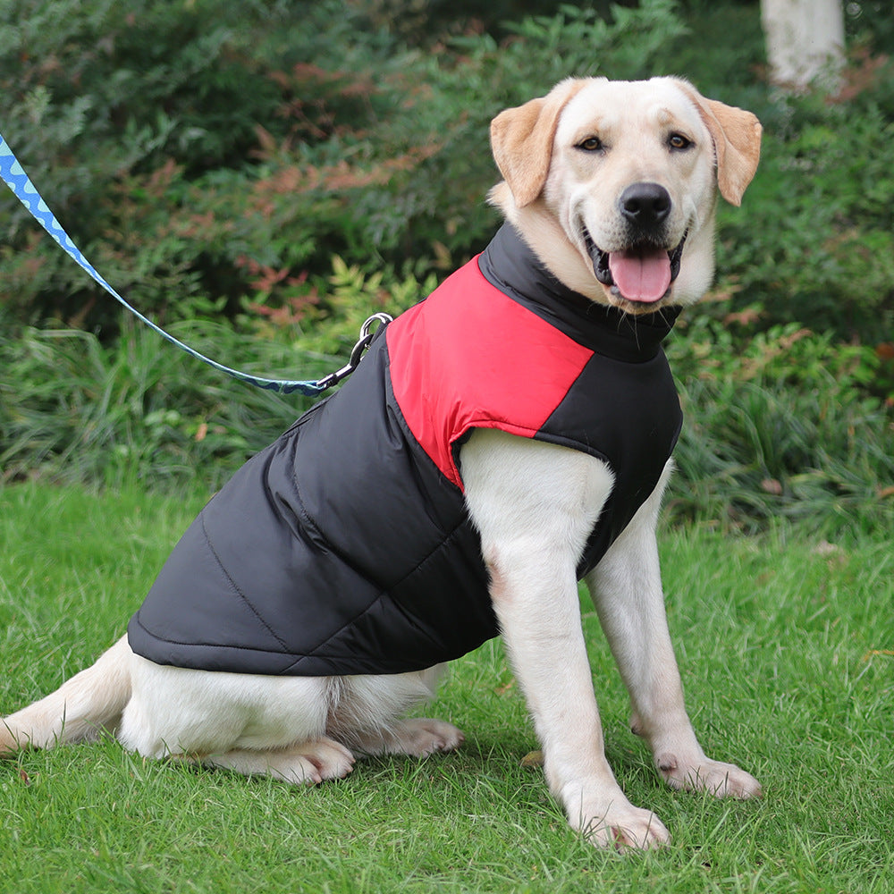 Hiver chaud vêtements pour animaux de compagnie imperméable chien rembourré Vest Zipper Veste pour petit Lar moyen