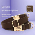 Tag chien collier d'or anti perte