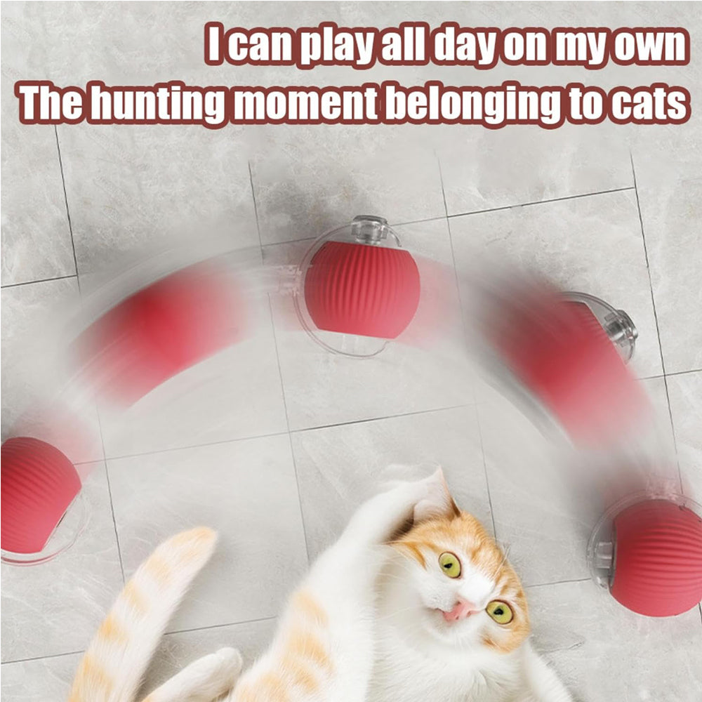 Jouet électrique de boule de chat de chien