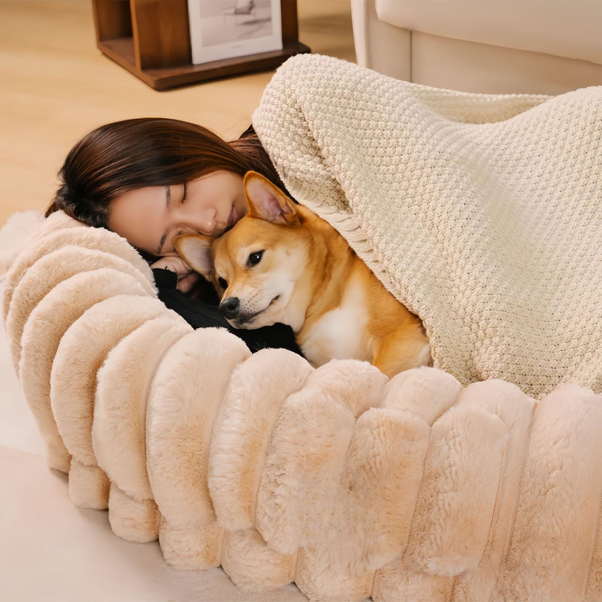 Lit de Sofa confortable et sûr pour chien et homme partagé qui est amovible et lavable