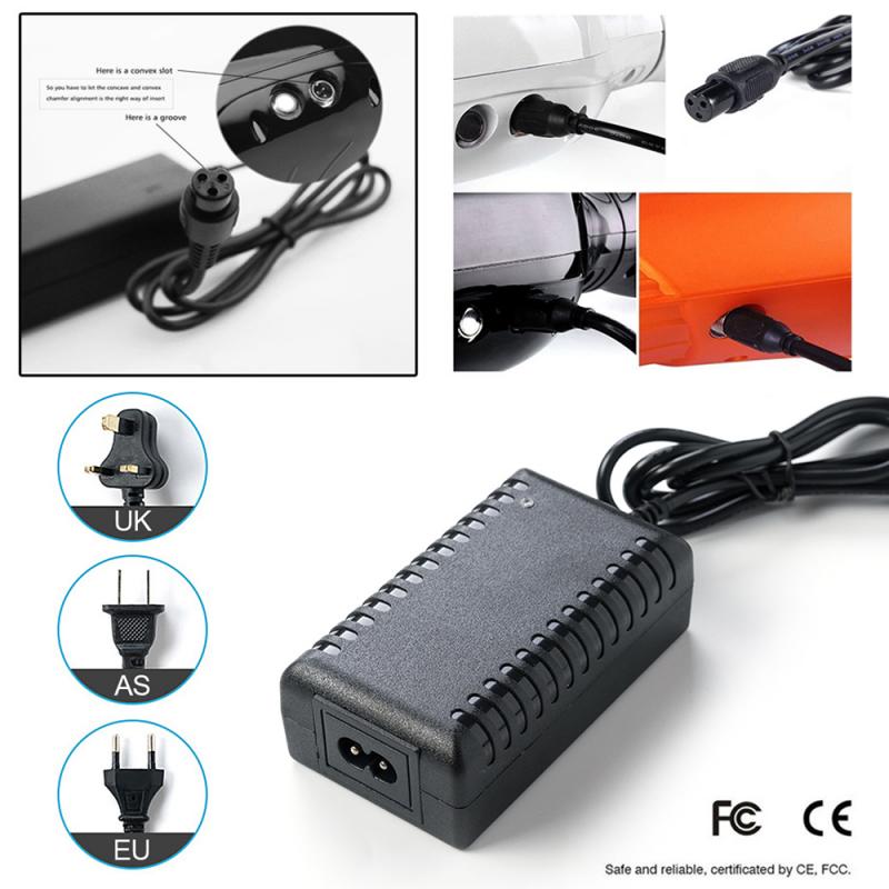 Chargeur de balance 42V2A
