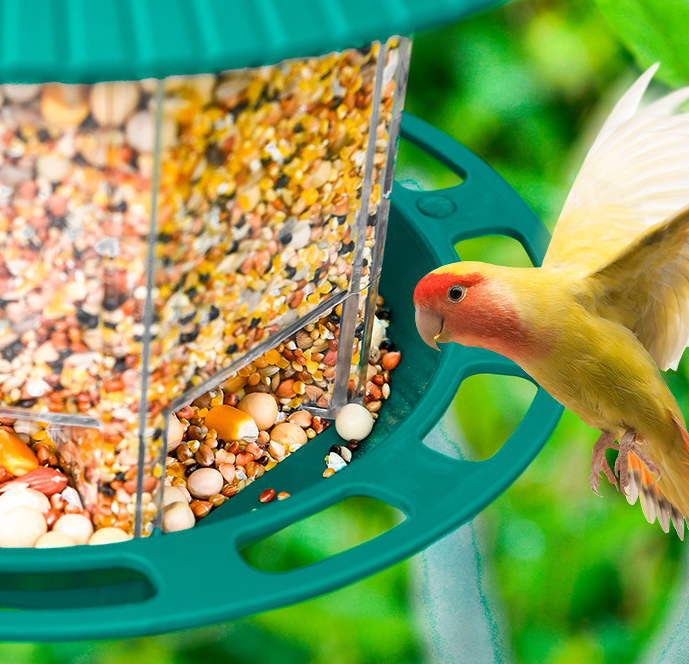 Jardin extérieur suspendu Oiseaux transparents