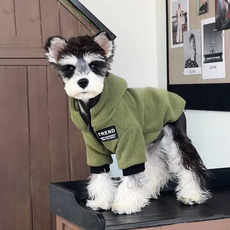 Hoodie à capuche tendance pour petits chiens