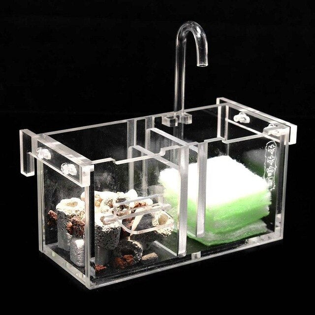 Mettre le filtre humide sur le filtre pour séparer le réservoir de poisson