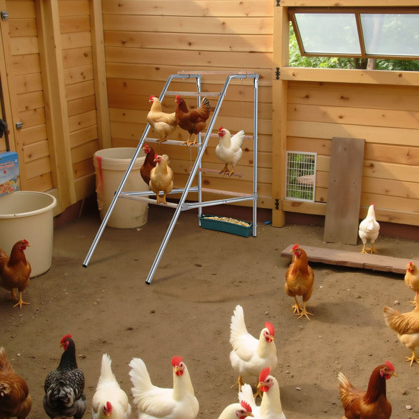 103x50x100cm Perchoir de poulet extérieur