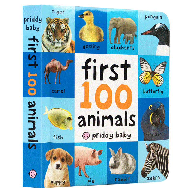 Livre de carton original anglais des premiers mots