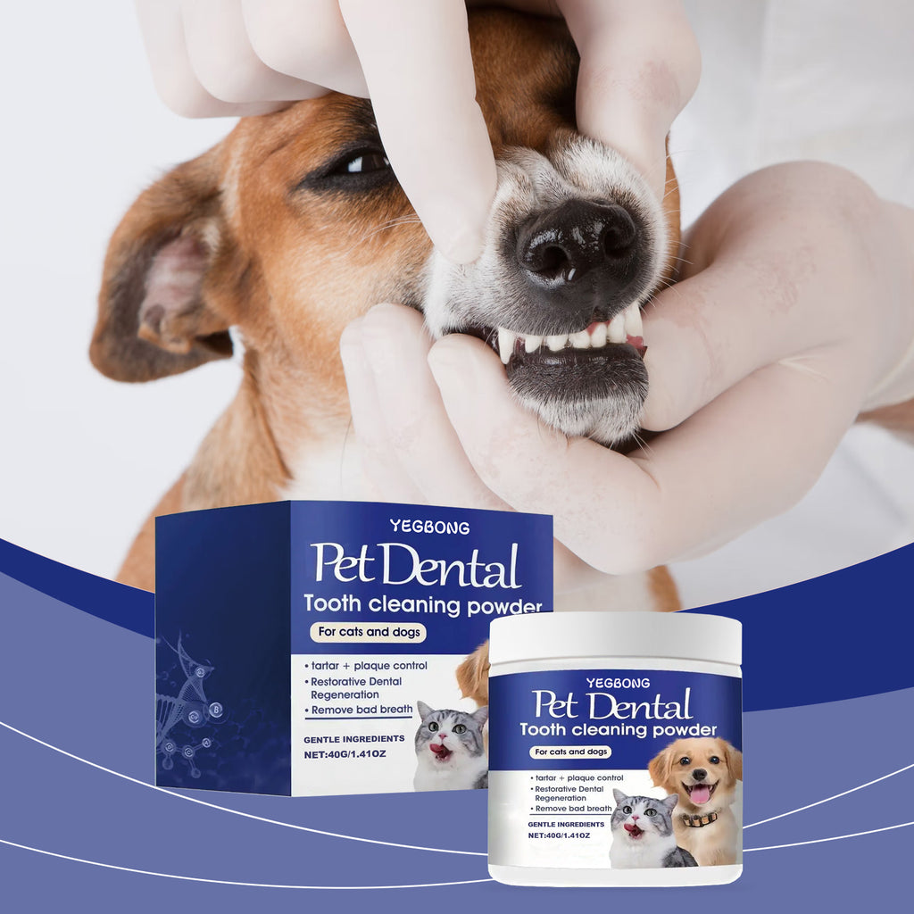 Poudre de nettoyage des dents des animaux de compagnie