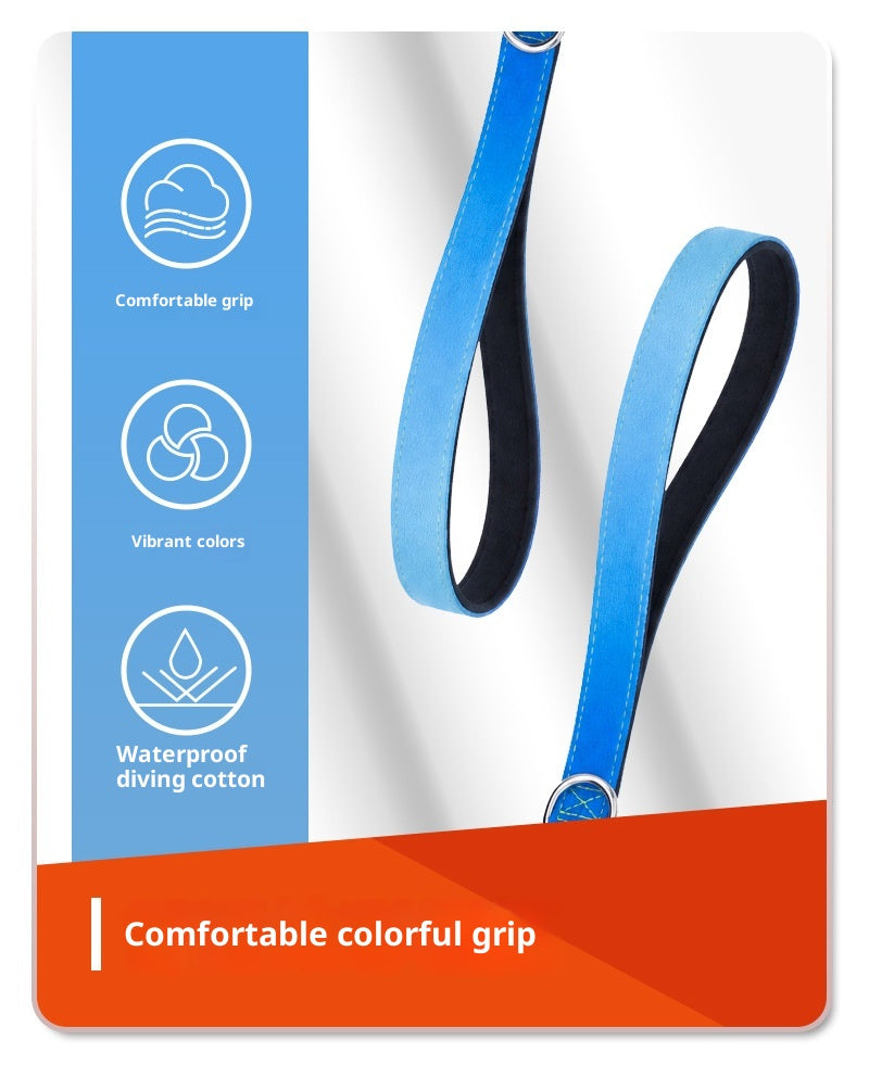 Double lead for two dogs, tangle-free system