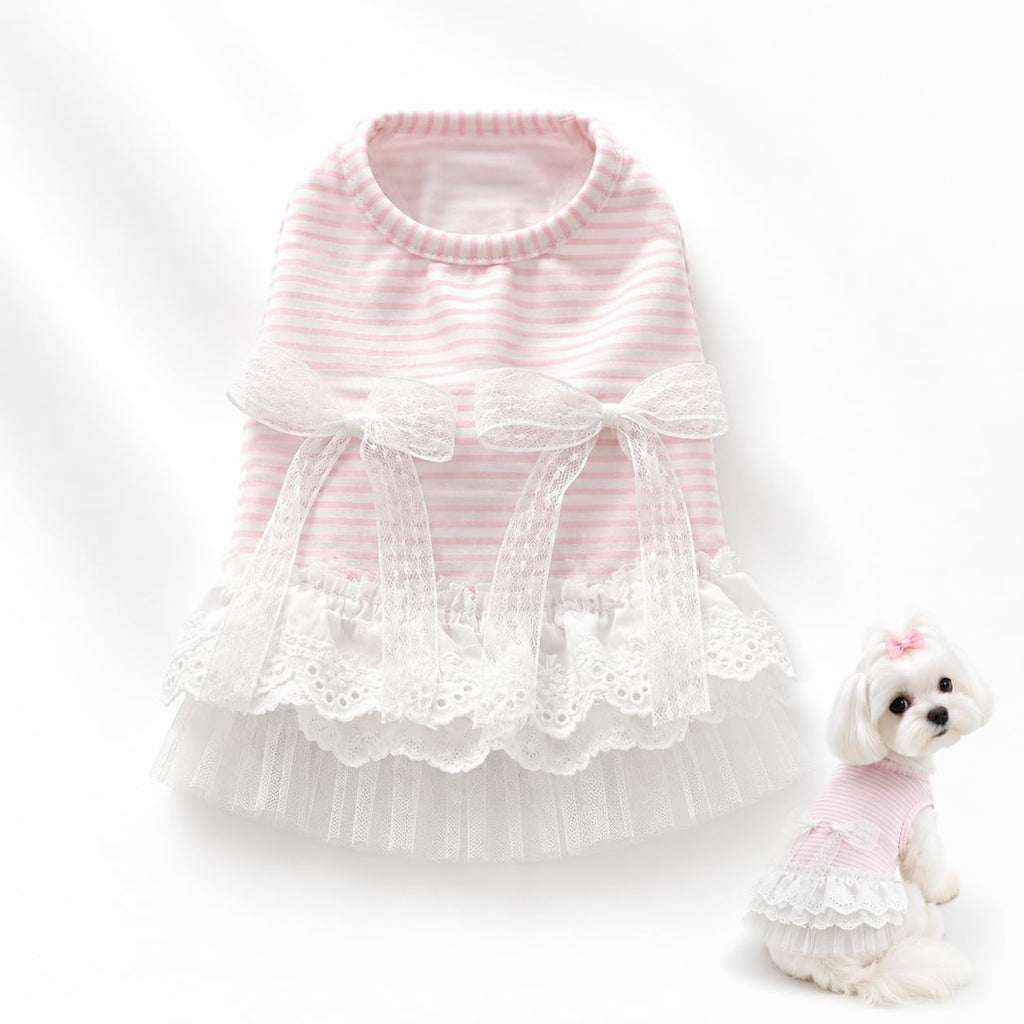 Robe de chien mignon sans manches