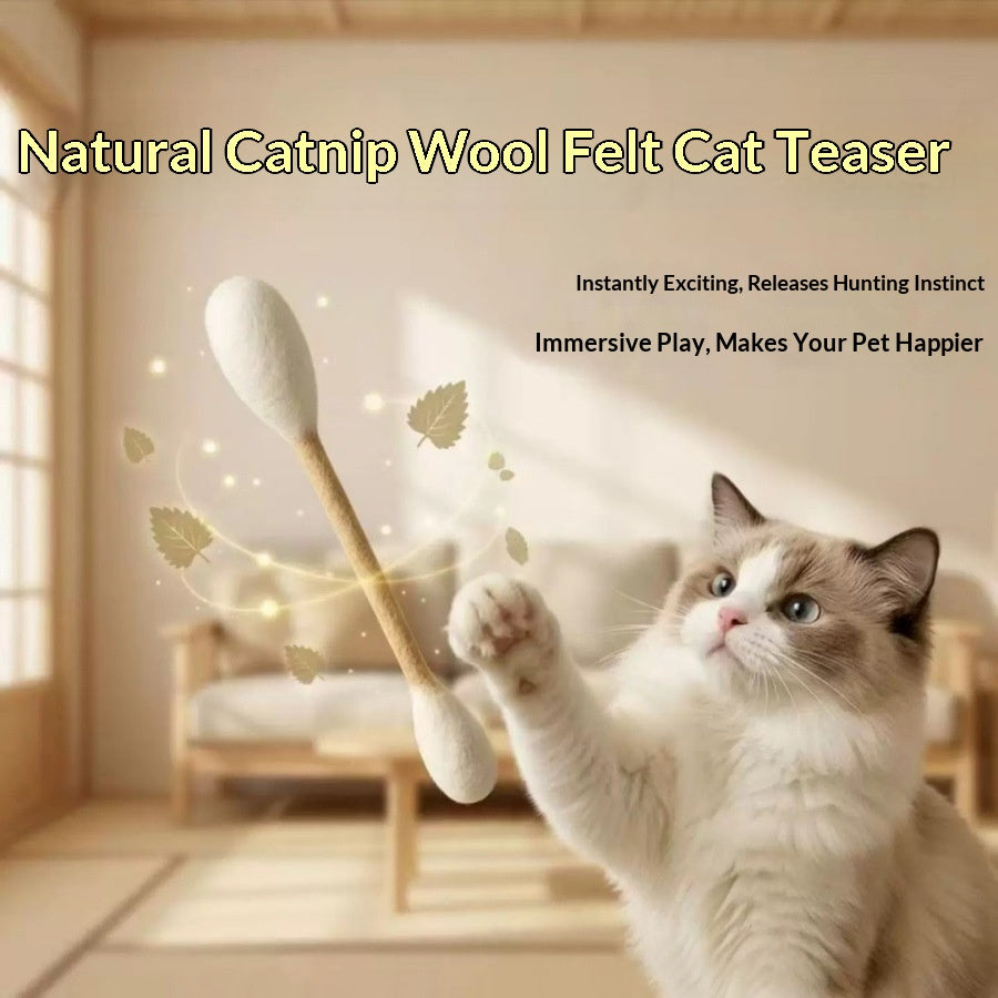 Jouet à renifler Catnip pour soulager l'ennui
